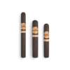 La Aurora 1985 Robusto Maduro 20 - Image 2