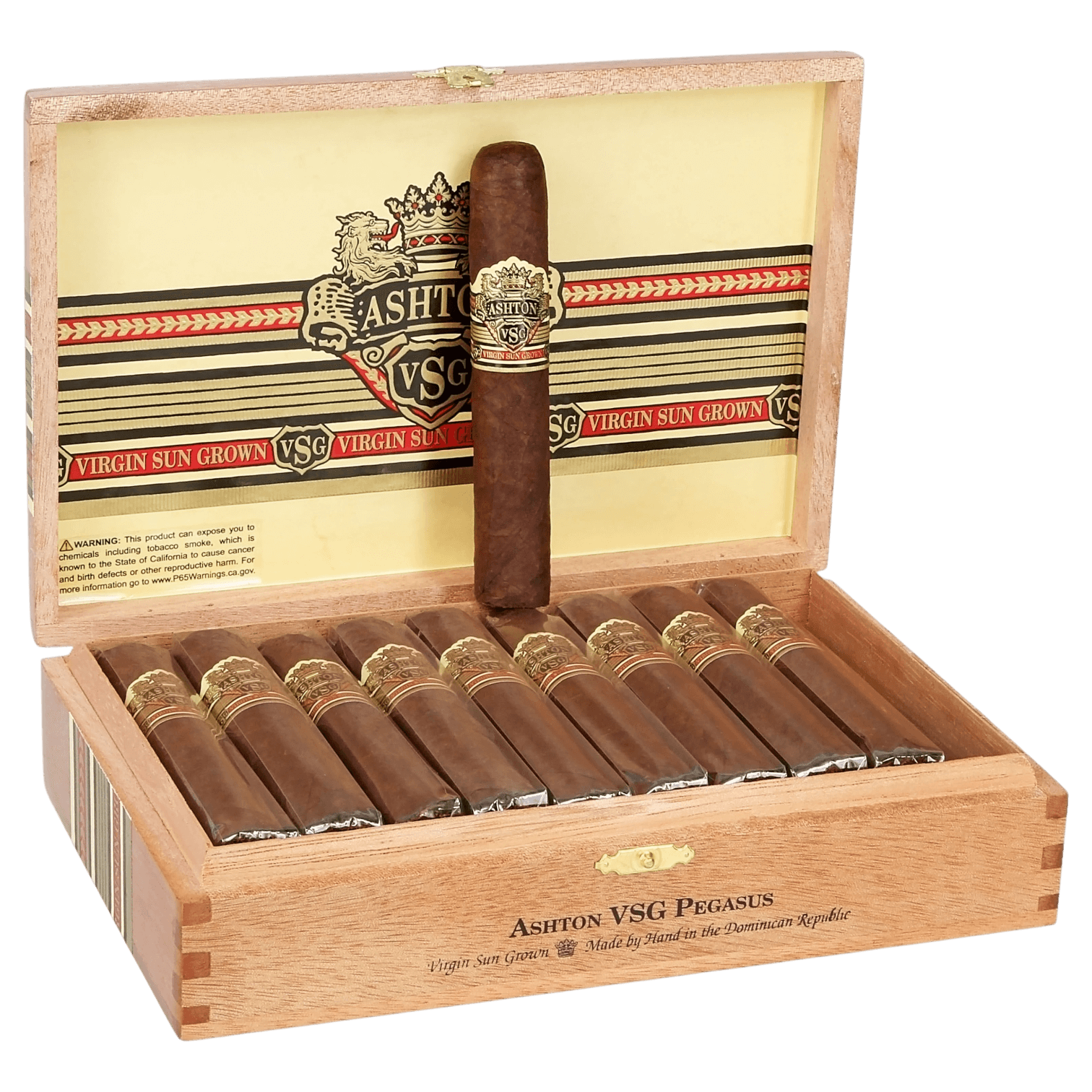 Ashton VSG Pegasus 20