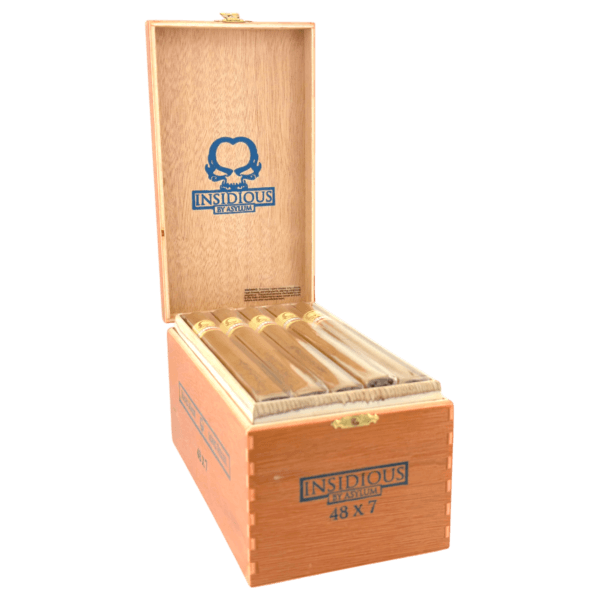 Asylum Insidious Connecticut 48X7 25